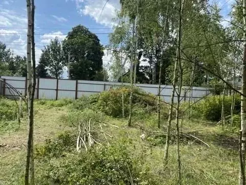 Участок в Московская область, Богородский городской округ, с. Стромынь ... - Фото 0