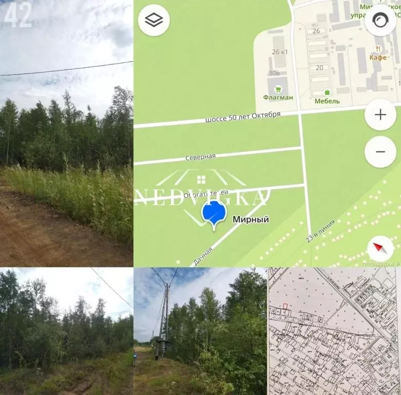 Участок, 9.9 сот., поселения (ижс) - Фото 1