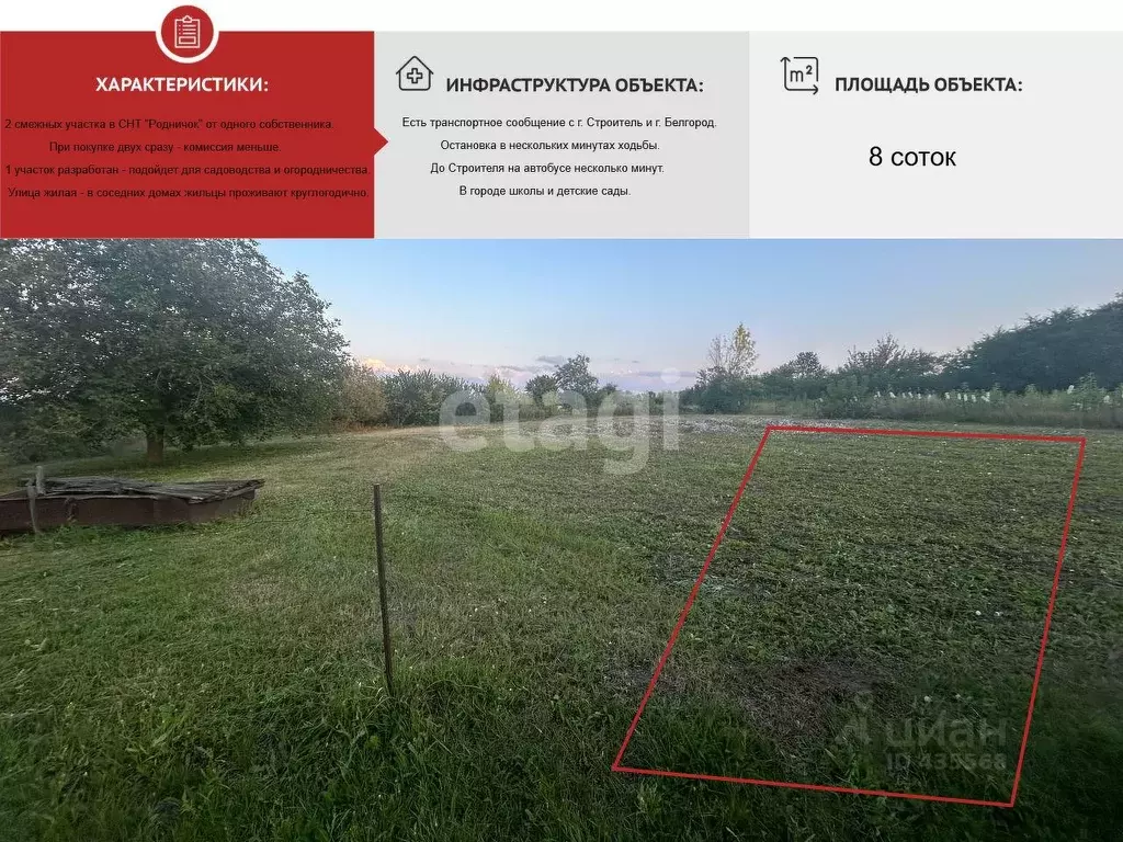 Участок в Белгородская область, Строитель Яковлевский городской округ, ... - Фото 1