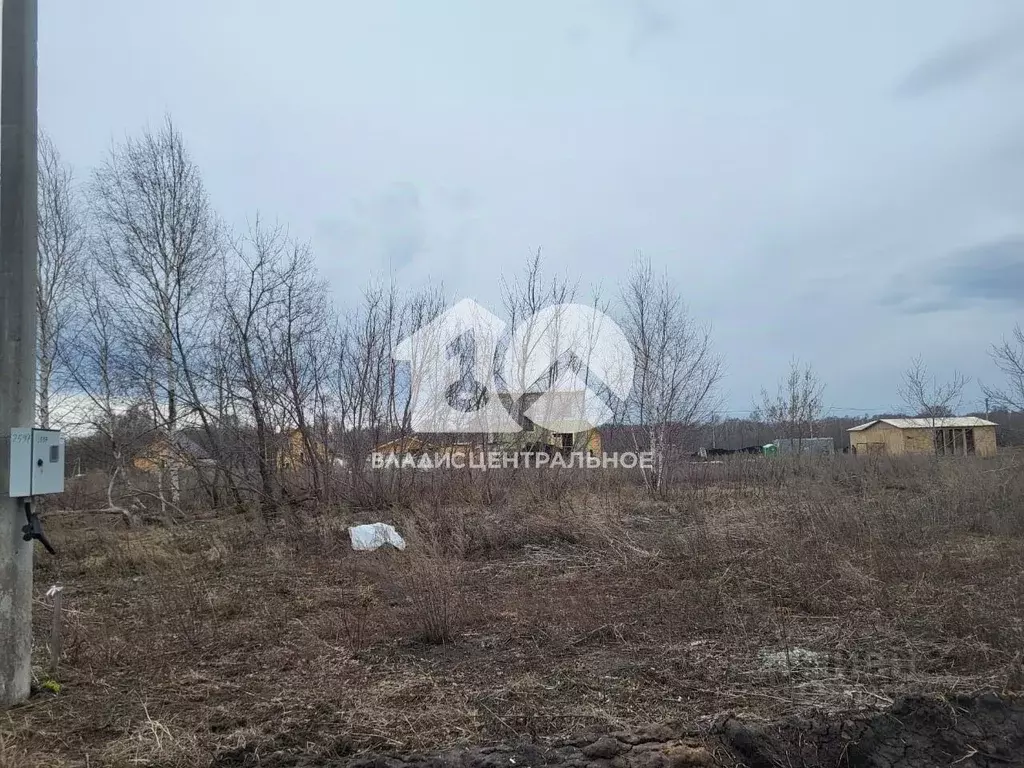 Участок в Новосибирская область, Новосибирский район, Каменский ... - Фото 0