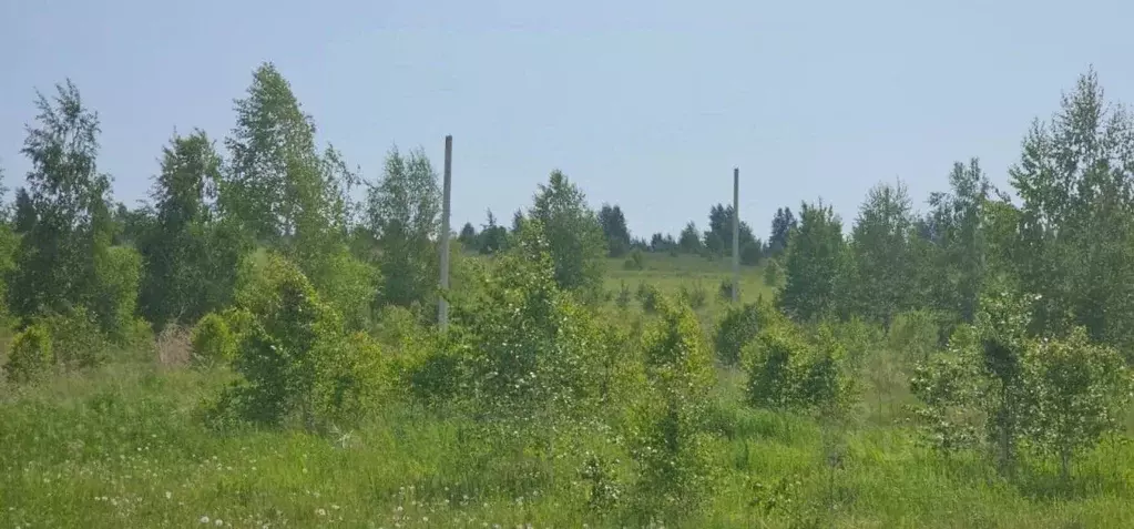 Участок в Иркутская область, Иркутский муниципальный округ, д. ... - Фото 1