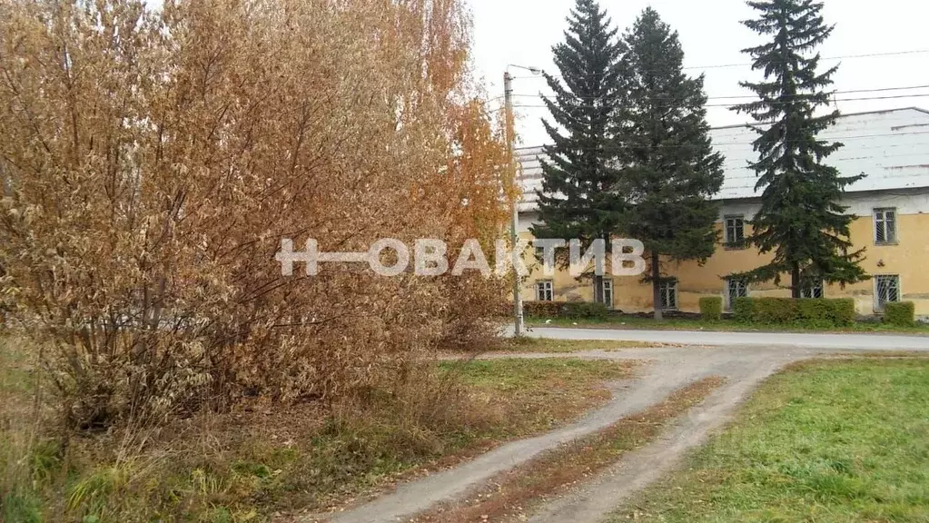 Помещение свободного назначения в Кемеровская область, Белово ул. ... - Фото 1