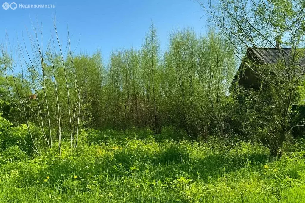 Участок в Новосибирский район, село Криводановка (7 м) - Фото 1