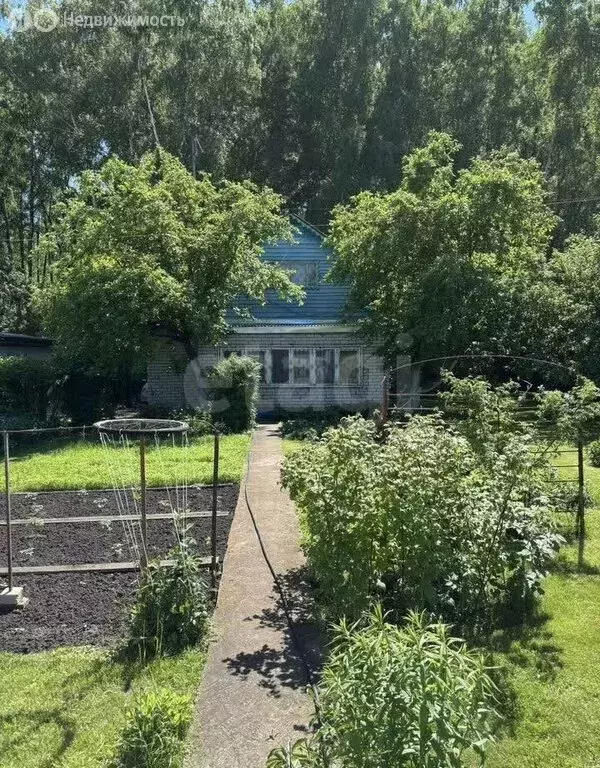 Дом в Липецк, СНТ Металлург-3, улица 1-я Опушка (65 м) - Фото 2