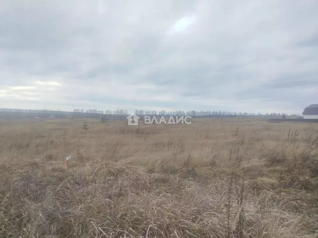 Участок в Пензенская область, с. Бессоновка, Солнечный кп  (10.0 сот.) - Фото 1