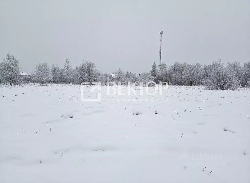 Участок в Ивановская область, Ивановский муниципальный округ, д. ... - Фото 1