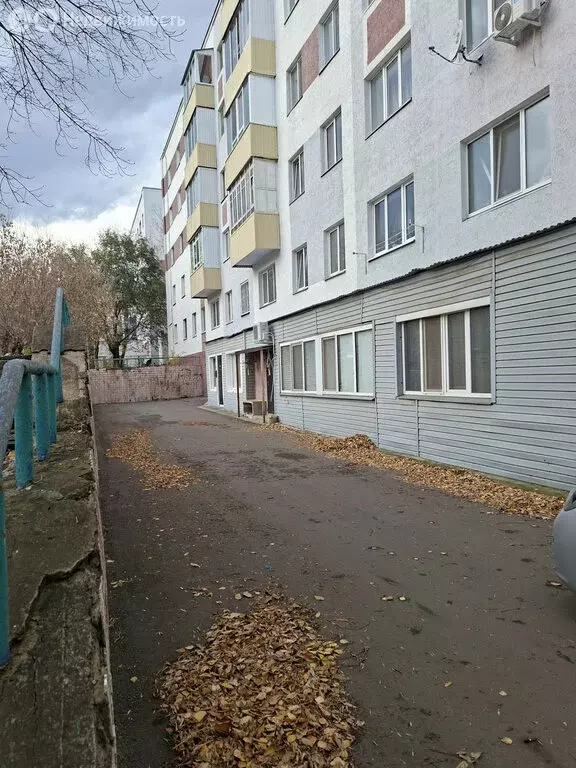 Торговая площадь (235.9 м) - Фото 2