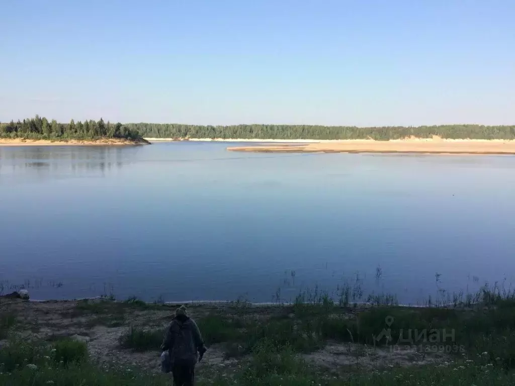 Участок в Архангельская область, Холмогорский муниципальный округ, д. ... - Фото 2