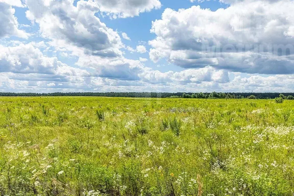 Участок в Московская область, Красногорск городской округ, д. ... - Фото 1