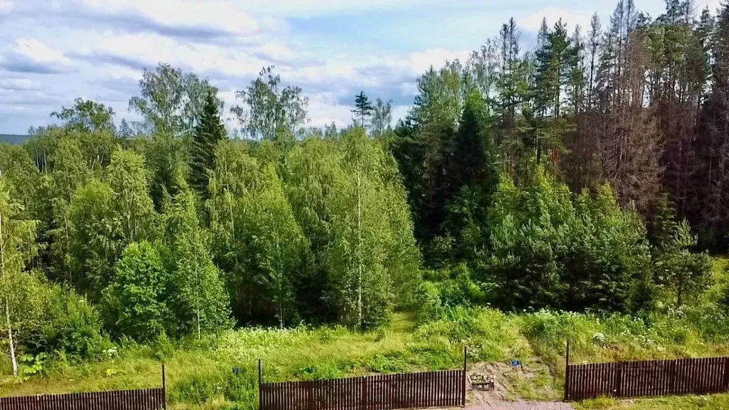 Участок в Ленинградская область, Выборгский район, Полянское с/пос, ... - Фото 1