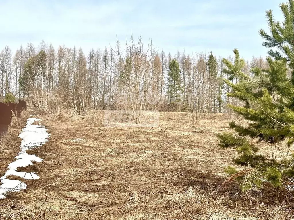 Участок в Нижегородская область, Богородский муниципальный округ, д. ... - Фото 0