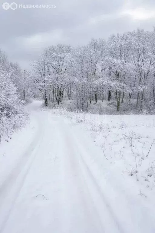 Участок в Сахалинская область, Южно-Сахалинск (10 м) - Фото 2