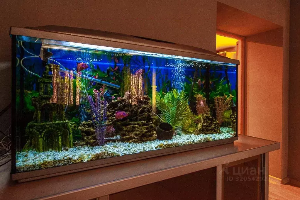 2-к кв. Свердловская область, Екатеринбург ул. Крылова, 27 (55.0 м) - Фото 2