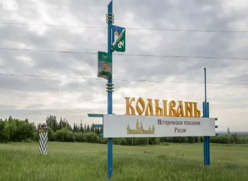 Участок в Колыванский район, деревня Малый Оеш (8 м) - Фото 2