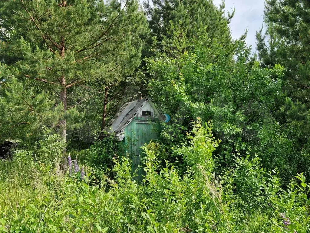 Участок 8 сот. (СНТ, ДНП) - Фото 0