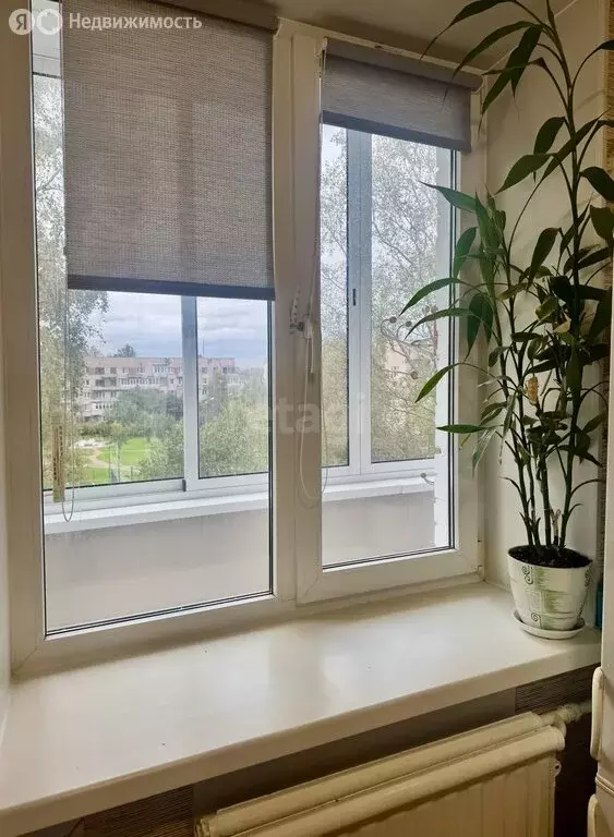 3-комнатная квартира: Пушкин, улица Генерала Хазова, 34 (56 м) - Фото 2