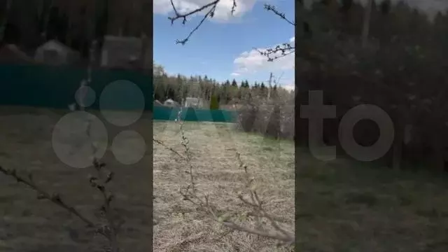 Участок 6 сот. (СНТ, ДНП) - Фото 1