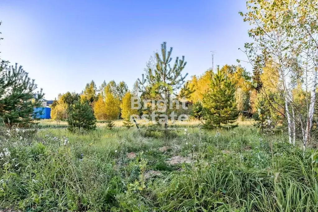 Участок в Московская область, Одинцовский городской округ, Мэдисон ... - Фото 1