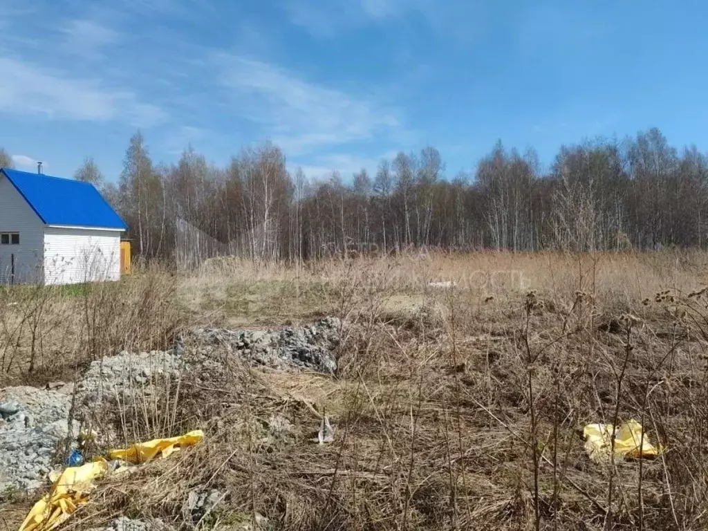 Участок в Тюменская область, Тюмень Автомобилист СНТ, ул. Рябиновая ... - Фото 1