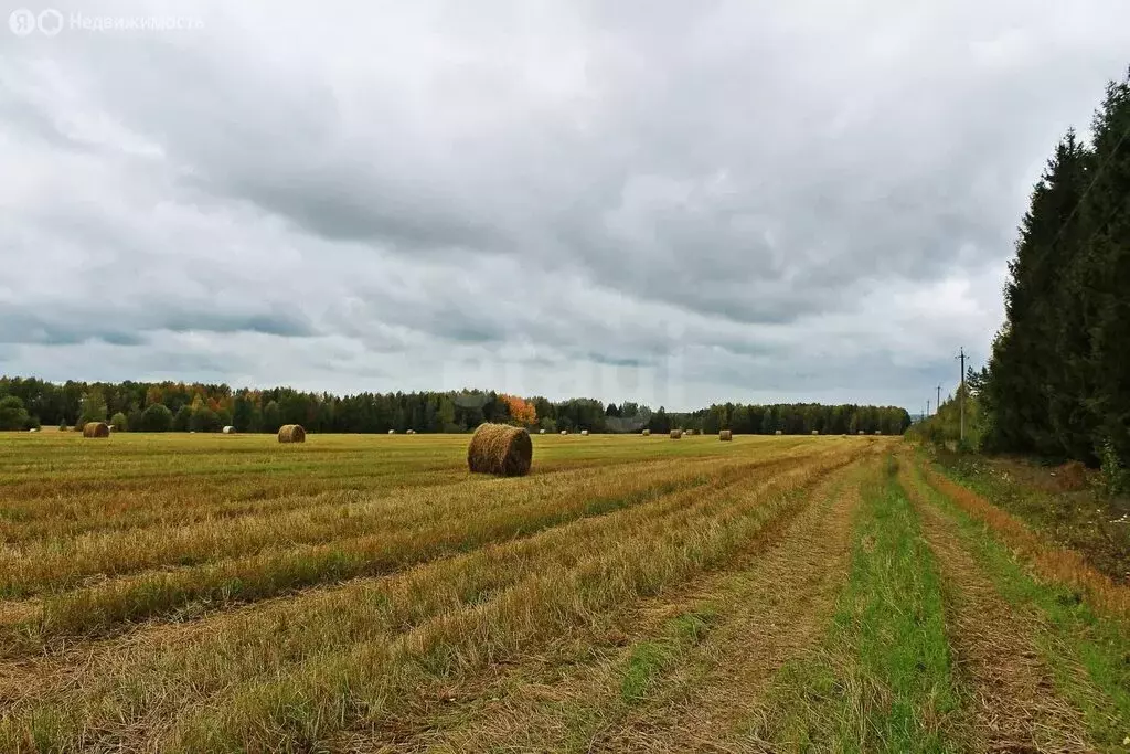 Участок в Псковская область, рабочий посёлок Дедовичи (5300 м) - Фото 0