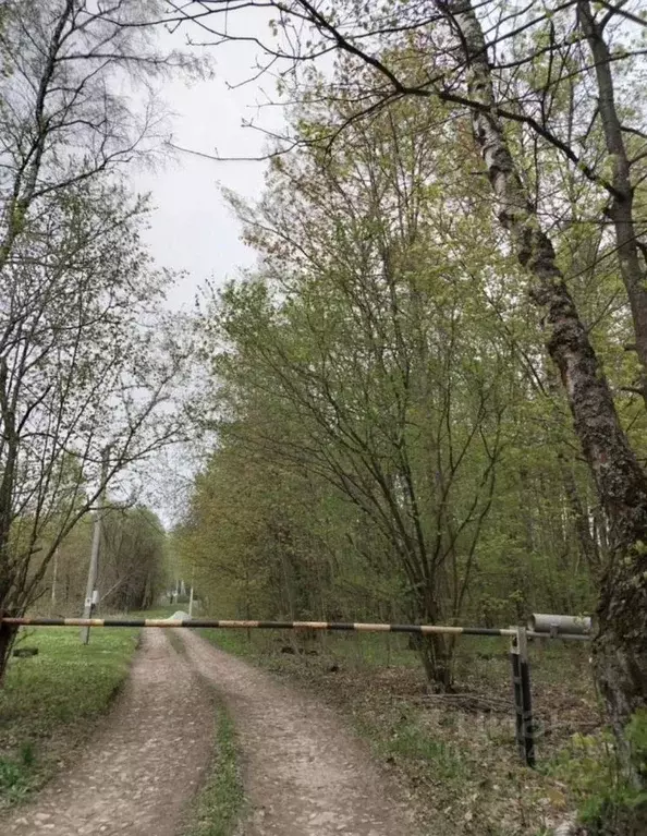 Участок в Тульская область, Тула городской округ, Дружба СТ  (20.0 ... - Фото 0