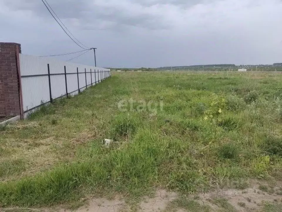 Участок в Воронежская область, Семилукский район, с. Девица, Поречье-2 ... - Фото 1