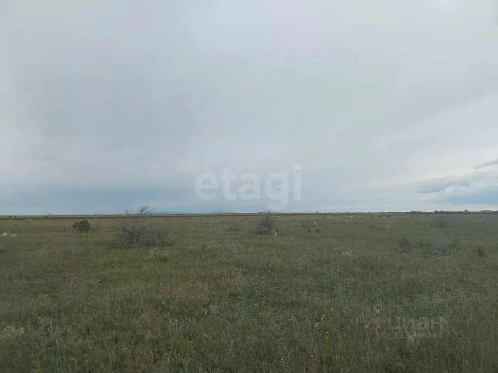 Участок в Крым, Ленинский район, Семисотское с/пос, с. Каменское ул. ... - Фото 0