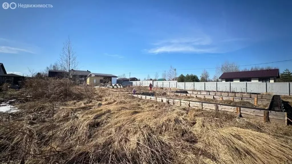 Участок в Ярославский муниципальный округ, деревня Бор, Липовая улица ... - Фото 2