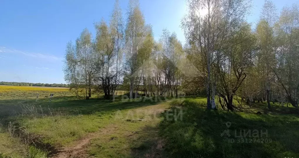 Участок в Московская область, Раменский муниципальный округ, Опушкино ... - Фото 2