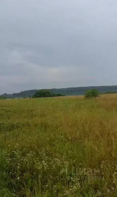 Участок в Новгородская область, Шимское городское поселение, д. Старый ... - Фото 2