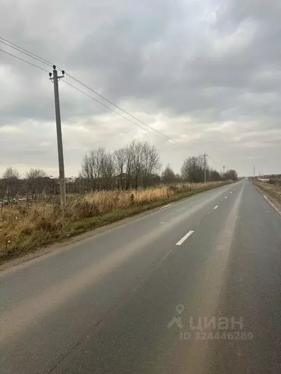 Участок в Псковская область, Псковский район, Завеличенская волость, ... - Фото 2