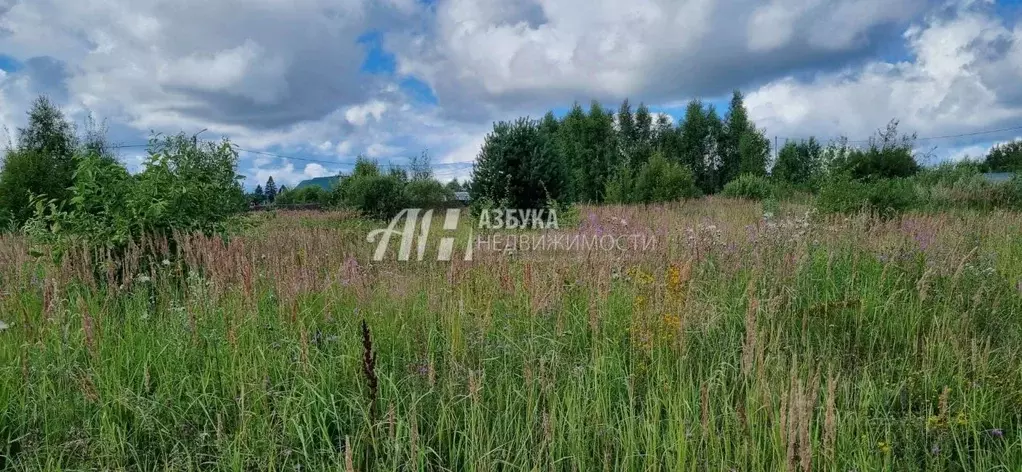 участок в московская область, рузский городской округ, пос. колюбакино . - Фото 0