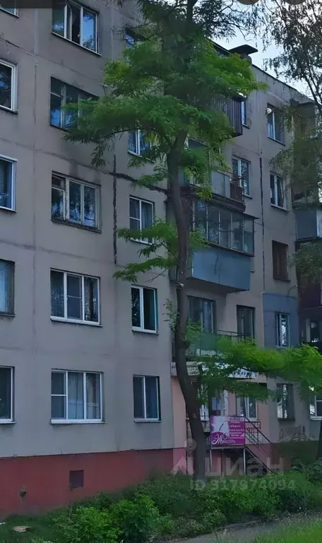2-к кв. Курская область, Курск ул. Димитрова, 107 (43.0 м) - Фото 0