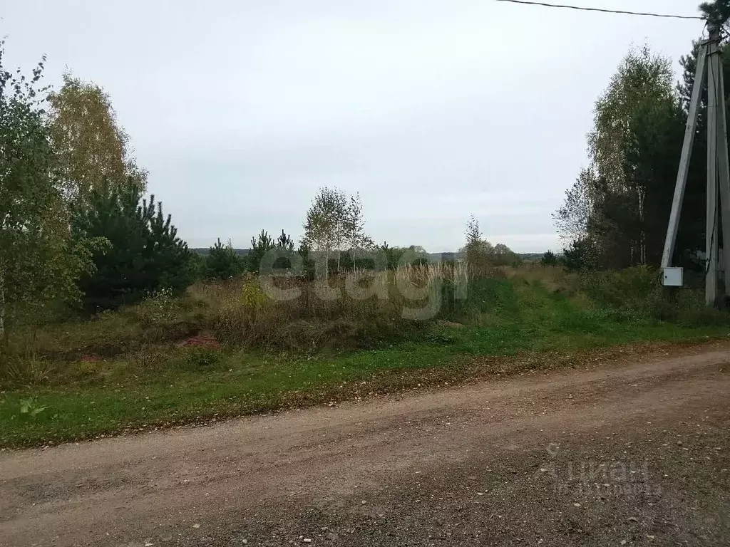 Участок в Калужская область, Дзержинский муниципальный округ, Дворцы ... - Фото 1