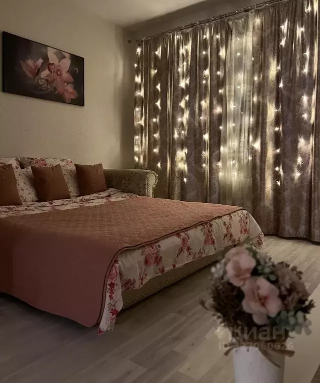 Студия Московская область, Ногинск Богородский городской округ, ул. ... - Фото 1