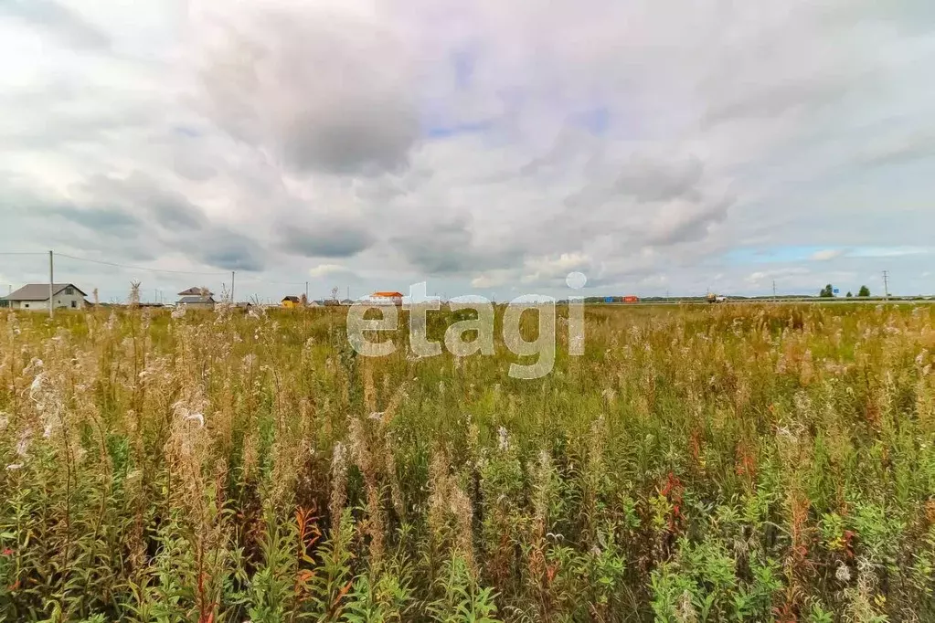 Участок в Тюменская область, Тюменский район, д. Ушакова, Ушаково кп  ... - Фото 0