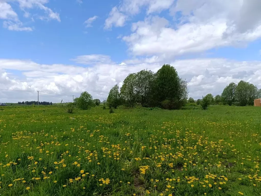 Участок в Ленинградская область, Волосовский район, Калитинское с/пос, ... - Фото 1