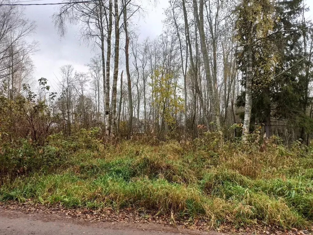 Участок в Ленинградская область, Выборгский район, Приморское ... - Фото 2