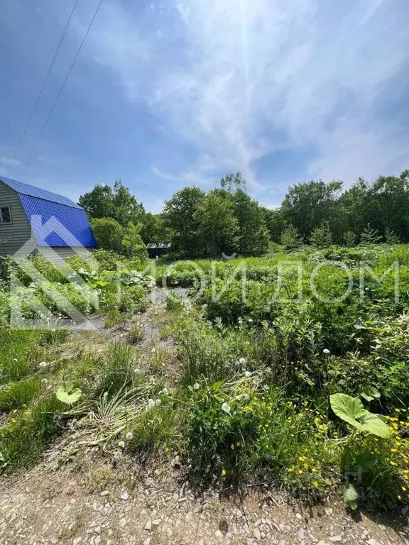 Участок в Сахалинская область, Южно-Сахалинск 32 (20.0 сот.) - Фото 0