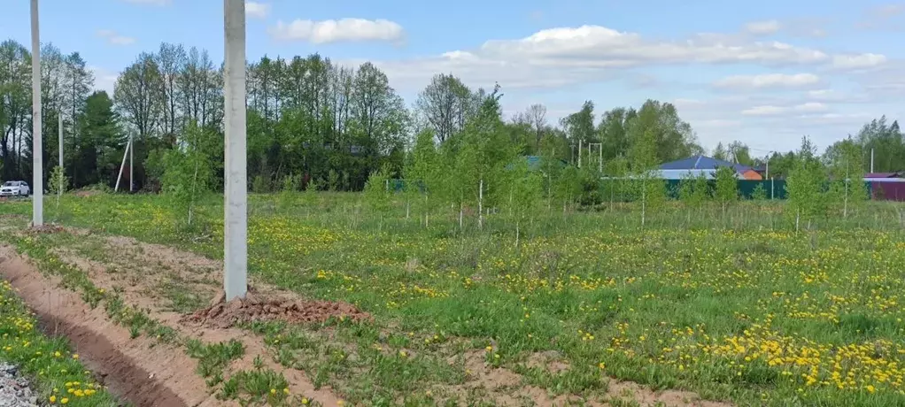 Участок в Московская область, Ступино городской округ, д. ... - Фото 1