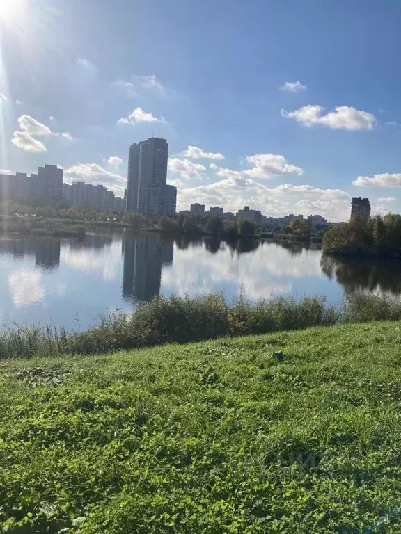 2-к кв. Санкт-Петербург Малая Бухарестская ул., 3 (54.3 м) - Фото 1