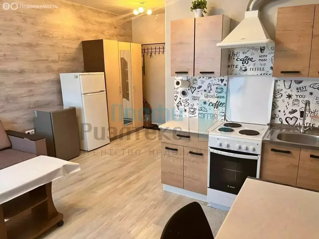 Квартира-студия: деревня Афонино, Академическая улица, 12 (23.3 м) - Фото 1