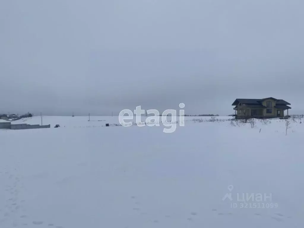 Участок в Брянская область, Брянский район, Добрунское с/пос, д. ... - Фото 2