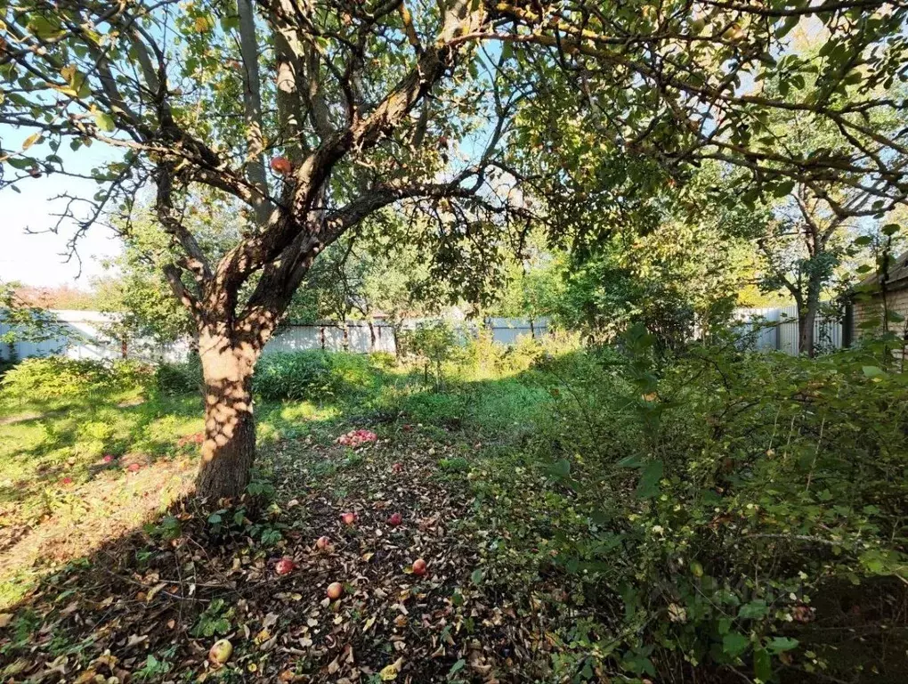 Дом в Пензенская область, Пензенский район, Мичуринский сельсовет, ... - Фото 2