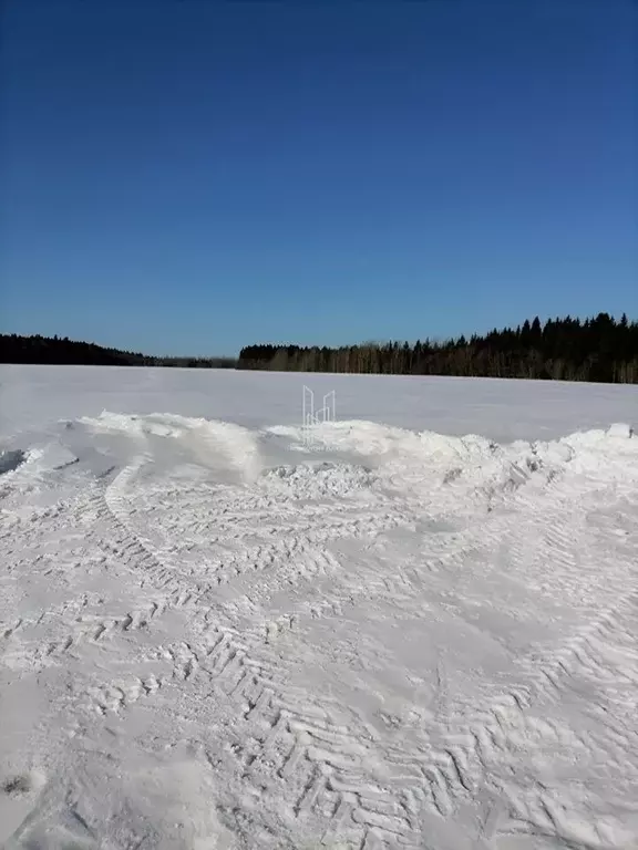 Участок в Ленинградская область, Волосовский район, Клопицкое с/пос, ... - Фото 1