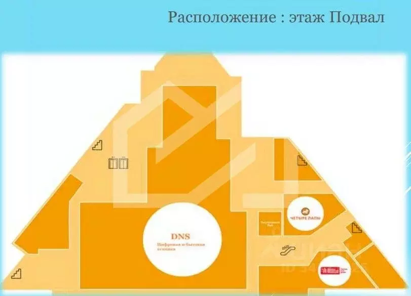 Помещение свободного назначения в Московская область, Краснознаменск ... - Фото 2