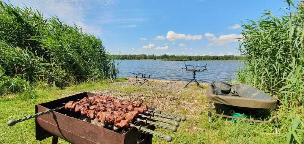 Дом в Удмуртия, Воткинский район, д. Молчаны Северная ул., 1 (44 м) - Фото 0