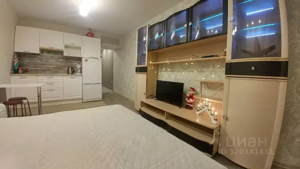 Студия Санкт-Петербург пос. Шушары, Школьная ул., 6к2 (27.0 м) - Фото 2