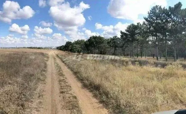Участок в Крым, Симферопольский район, Мирновское с/пос, с. ... - Фото 2