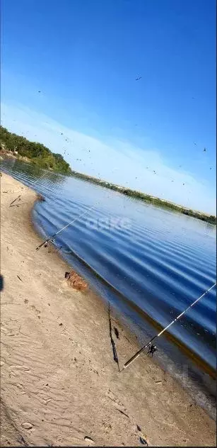 Участок в Волгоградская область, Городищенский район, Вертячинское ... - Фото 1